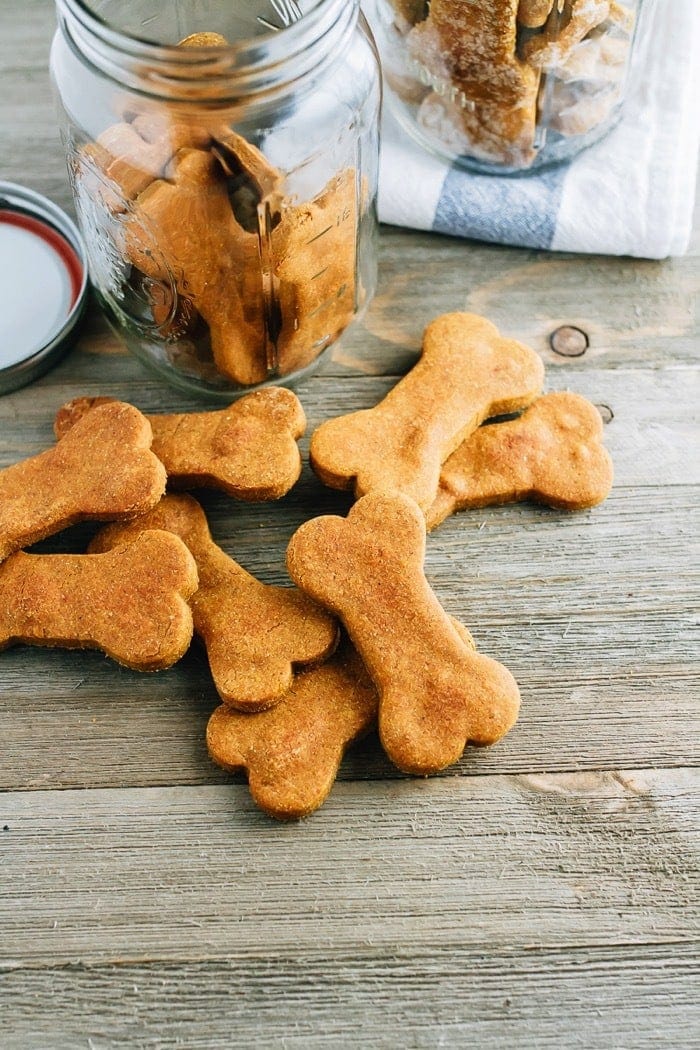 4 Fall Themed Treat Recipe’s For Fido