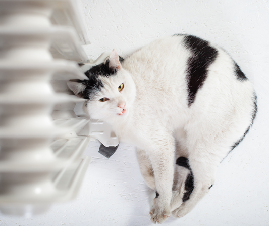 How The Furnace Can Aggravate Allergies This Winter