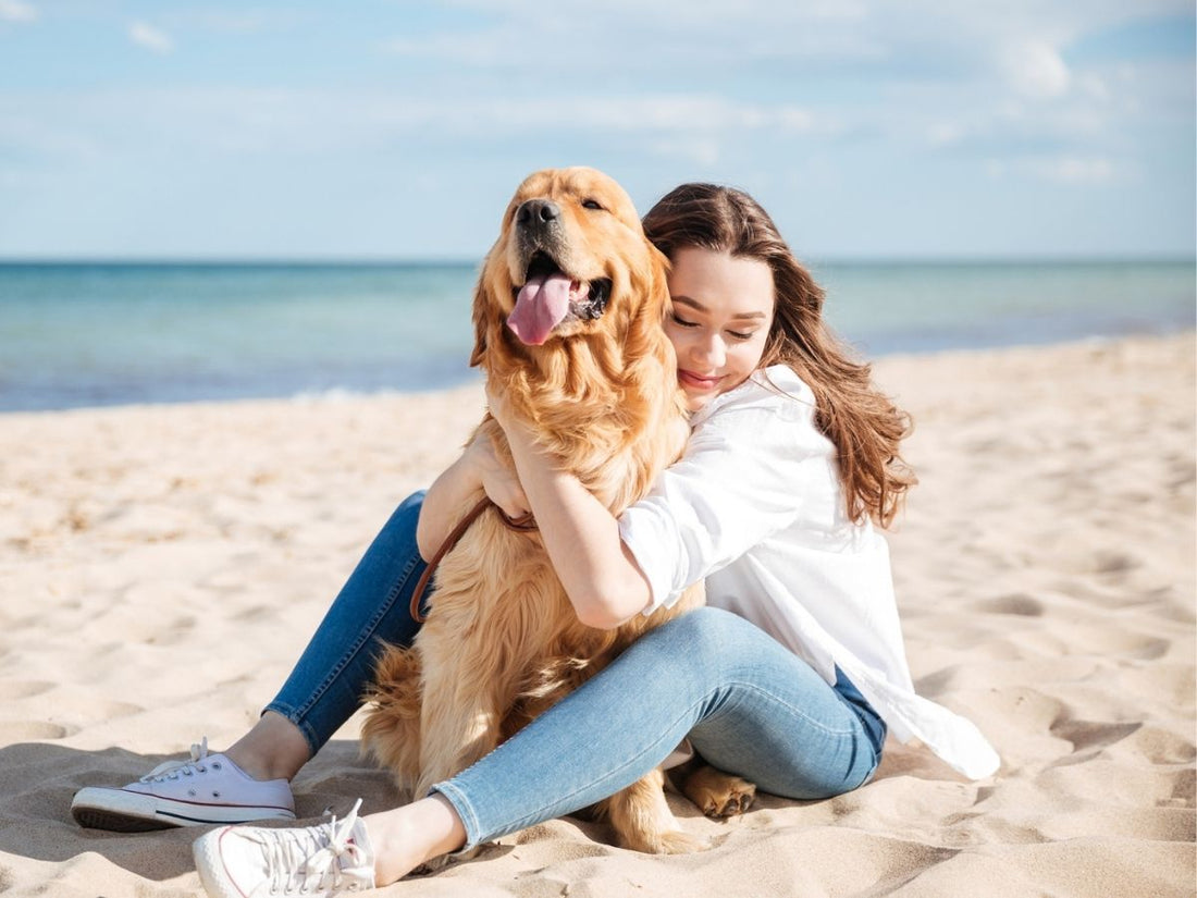 Dog Friendly Ideas For Summer