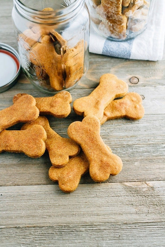 4 Fall Themed Treat Recipe’s For Fido